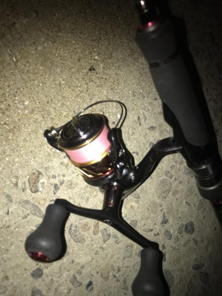 朝マズメのメバリング調査