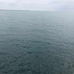 ギガアジを求めて…