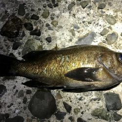 フロートメバリング