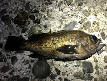 フロートメバリング