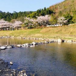 小柿渓谷で50cmオーバーの大型のニジマスを追う!