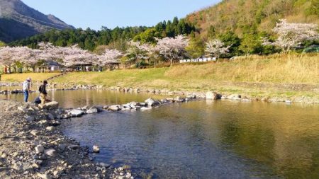 小柿渓谷で50cmオーバーの大型のニジマスを追う!