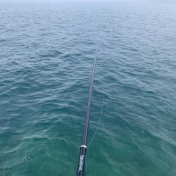 メバル釣れるϵ( \’Θ\’ )϶