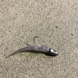 好調なスタート^ ^