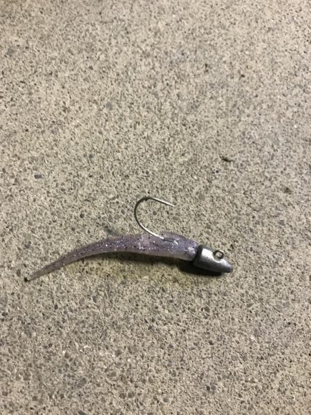 好調なスタート^ ^