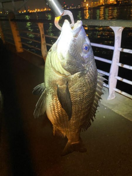 ヘチってきました