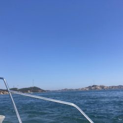 ノッコミはじまり？