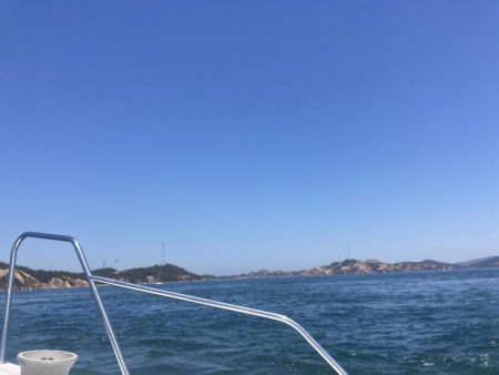 ノッコミはじまり？