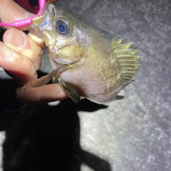 金太郎飴バリング