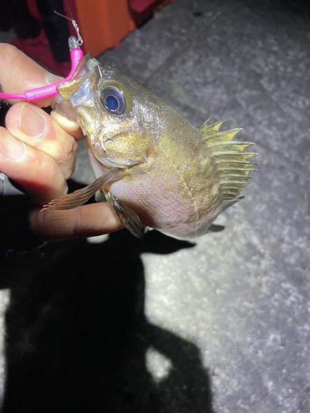 金太郎飴バリング