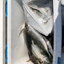 ハッピーハッピー