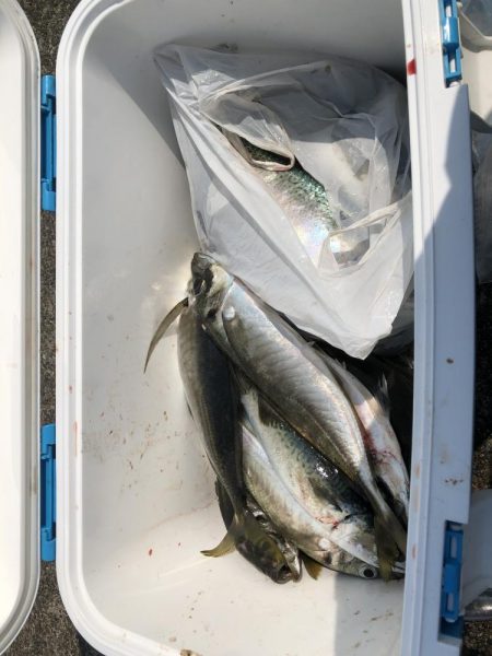 ハッピーハッピー