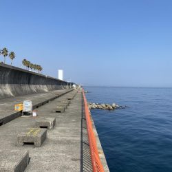 デイメバリング