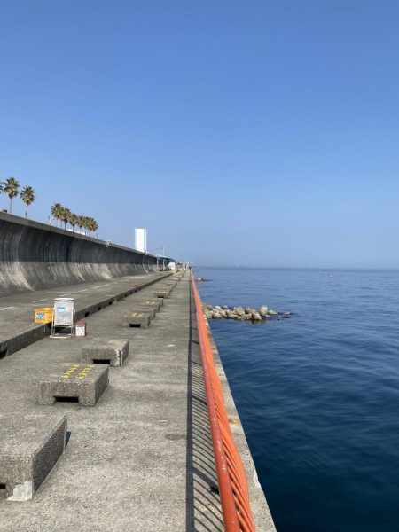 デイメバリング