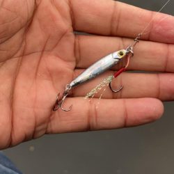 ライトジギング