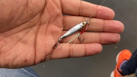 ライトジギング