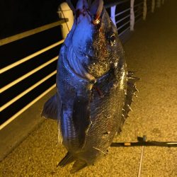 ヘチってきました