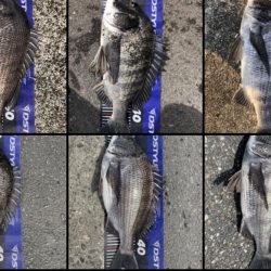 イチノ兄弟、釣果!