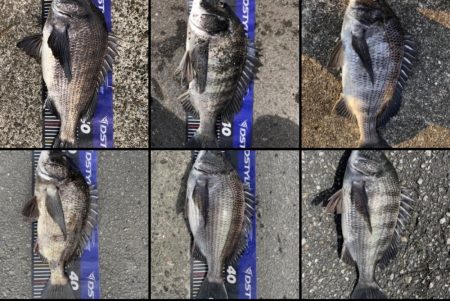 イチノ兄弟、釣果!