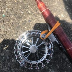 ヘチ釣りでキビレGET