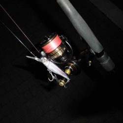 ポツポツと釣れる感じ…