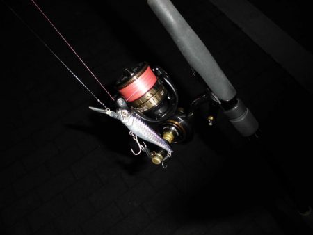 ポツポツと釣れる感じ…