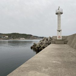 鳥飼漁港にて穴釣り!まだ寒いが、果たして釣れるのだろうか?