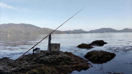 鯉川でのキス釣り