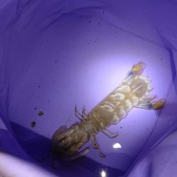 閖上漁港周辺の釣行