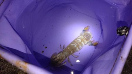 閖上漁港周辺の釣行