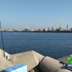 久しぶりの狙い通り！