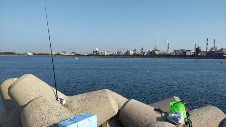 久しぶりの狙い通り！