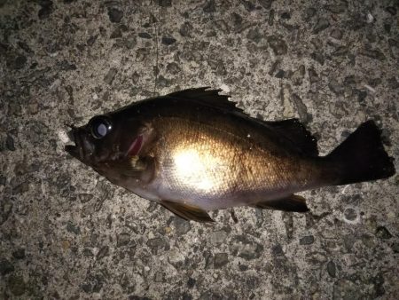 ハリ先の確認は必須