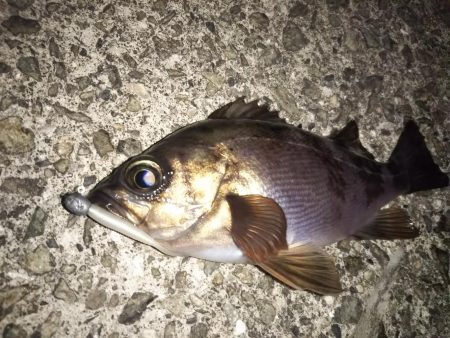 最後の1投で「つ抜け」達成