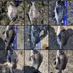 イチノ兄弟、釣果!