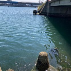 諦めたらあかん!