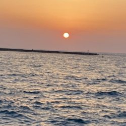 ジギングからヤリイカ！