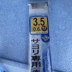 砂上げ場のサヨリ釣り