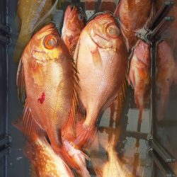 巻き巻きネギング