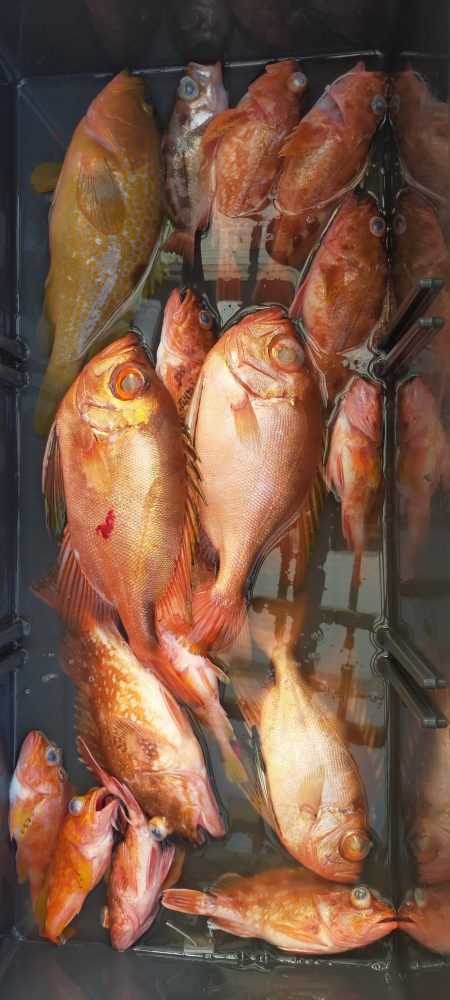 巻き巻きネギング