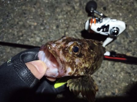 2022/04/10 南港ライトゲーム釣行