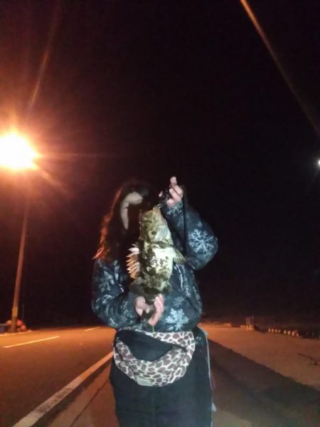 根魚コンプリート！