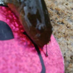 【小物釣り開幕(^^)】