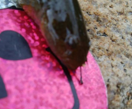 【小物釣り開幕(^^)】