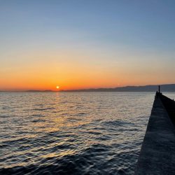 ライトワインド&アジング釣行　たまや渡船さん！