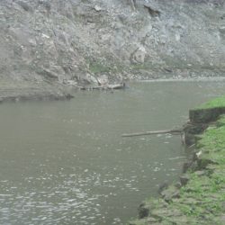 風が吹いたら・・・