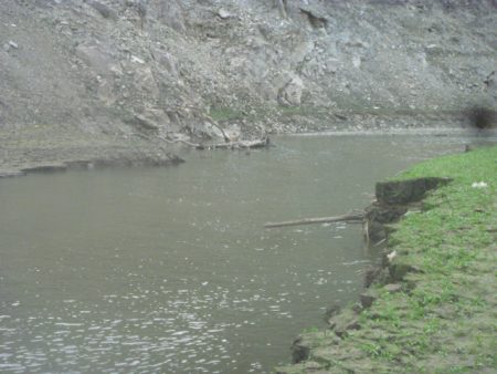 風が吹いたら・・・