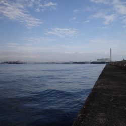 良型アジの回遊も確認! たまや渡船半夜便でライトワインド