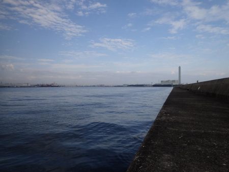 良型アジの回遊も確認! たまや渡船半夜便でライトワインド