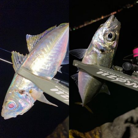 メインラインを変更してみた！